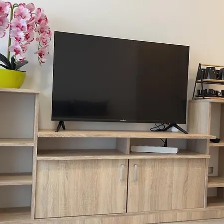 Modern With Garage